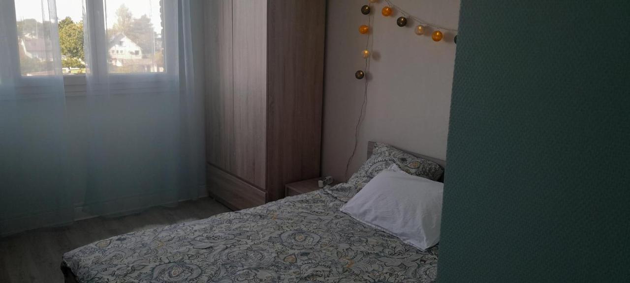 Chateauroux : Bel Appartement Avec Balcon 外观 照片